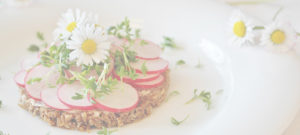 photo assiette rondelles de radis sur lit de graines décorées avec des marguerites, livraison de repas frais, Bel'Age Services de Proximité, services à domicile, Grenoble